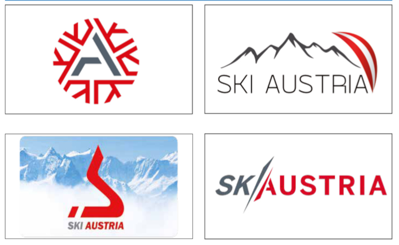 Ski Logo Top 4